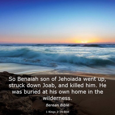 Picture 03 - 1 Kings 2:34 BSB - So Benaiah son of Jehoiada went up, struck down - Bible Verse Picture