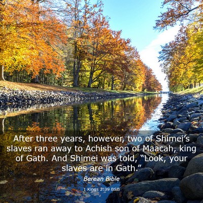 Picture 03 - 1 Kings 2:39 BSB - After three years, however, two of Shimei’s - Bible Verse Picture