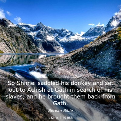 Picture 03 - 1 Kings 2:40 BSB - So Shimei saddled his donkey and set out to - Bible Verse Picture