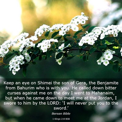 Picture 03 - 1 Kings 2:8 BSB - Keep an eye on Shimei the son of Gera, the - Bible Verse Picture