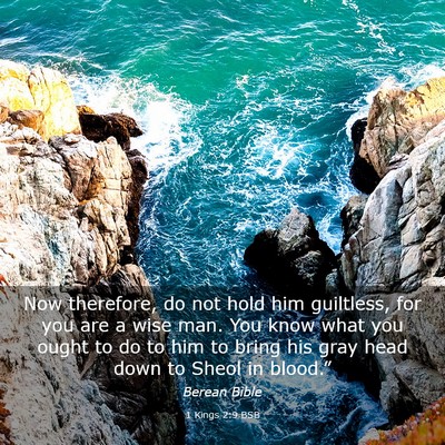 Picture 03 - 1 Kings 2:9 BSB - Now therefore, do not hold him guiltless, for you - Bible Verse Picture