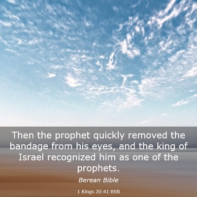 Picture 03 - 1 Kings 20:41 BSB - Then the prophet quickly removed the bandage from - Bible Verse Picture