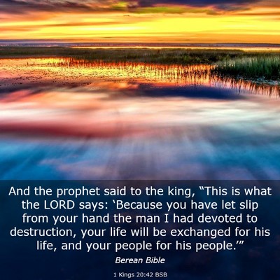 Picture 03 - 1 Kings 20:42 BSB - And the prophet said to the king, “This is what - Bible Verse Picture