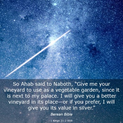 Picture 03 - 1 Kings 21:2 BSB - So Ahab said to Naboth, “Give me your vineyard - Bible Verse Picture