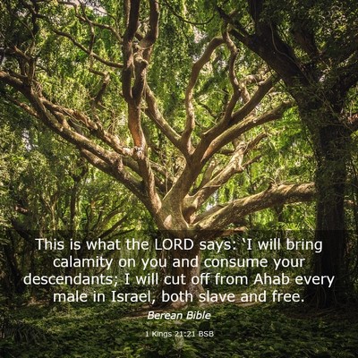 Picture 03 - 1 Kings 21:21 BSB - This is what the LORD says: ‘I will bring - Bible Verse Picture