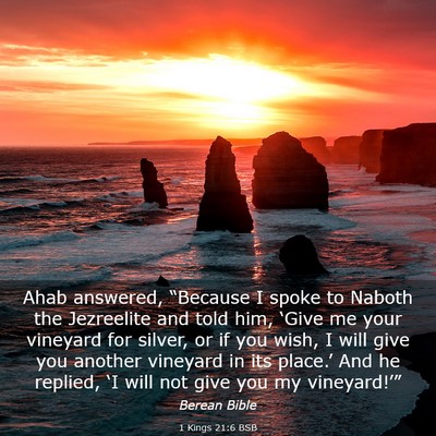 Picture 03 - 1 Kings 21:6 BSB - Ahab answered, “Because I spoke to Naboth the - Bible Verse Picture