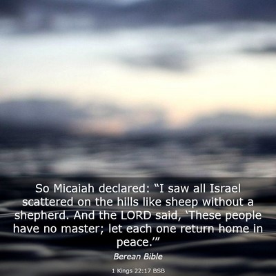 Picture 03 - 1 Kings 22:17 BSB - So Micaiah declared: “I saw all Israel - Bible Verse Picture