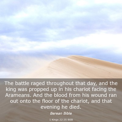 Picture 03 - 1 Kings 22:35 BSB - The battle raged throughout that day, and the - Bible Verse Picture