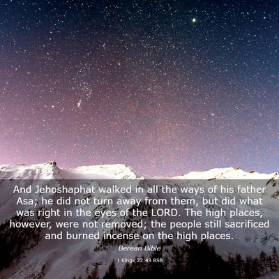 Picture 03 - 1 Kings 22:43 BSB - And Jehoshaphat walked in all the ways of his - Bible Verse Picture