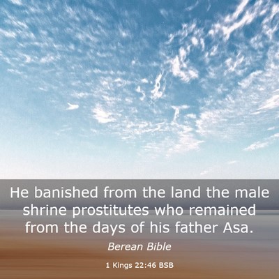 Picture 03 - 1 Kings 22:46 BSB - He banished from the land the male shrine - Bible Verse Picture