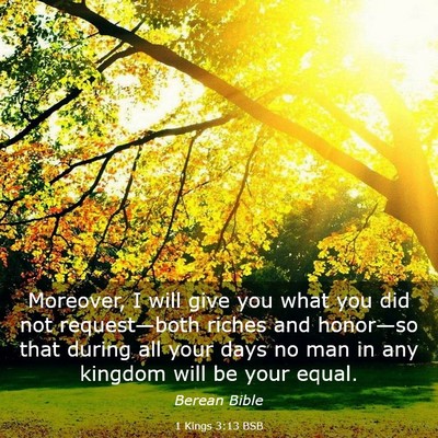 Picture 03 - 1 Kings 3:13 BSB - Moreover, I will give you what you did not - Bible Verse Picture
