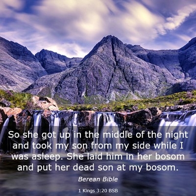 Picture 03 - 1 Kings 3:20 BSB - So she got up in the middle of the night and took - Bible Verse Picture