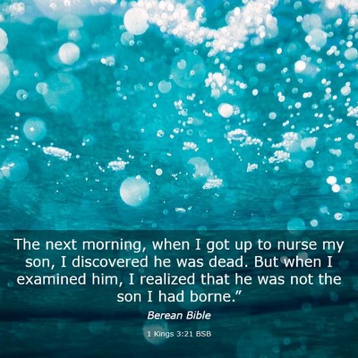 Picture 03 - 1 Kings 3:21 BSB - The next morning, when I got up to nurse my son, - Bible Verse Picture