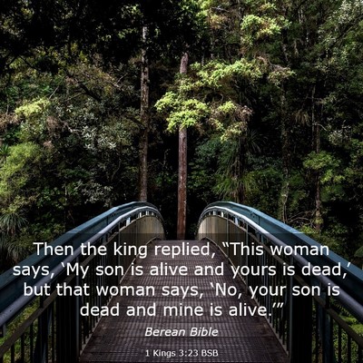 Picture 03 - 1 Kings 3:23 BSB - Then the king replied, “This woman says, ‘My - Bible Verse Picture