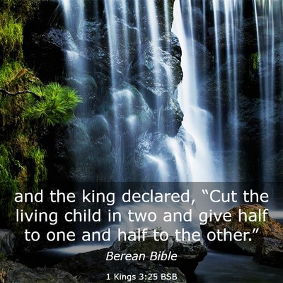 Picture 03 - 1 Kings 3:25 BSB - and the king declared, “Cut the living child in - Bible Verse Picture