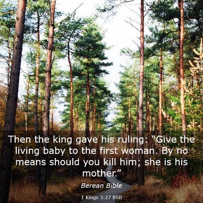 Picture 03 - 1 Kings 3:27 BSB - Then the king gave his ruling: “Give the living - Bible Verse Picture