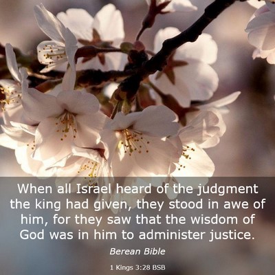 Picture 03 - 1 Kings 3:28 BSB - When all Israel heard of the judgment the king - Bible Verse Picture