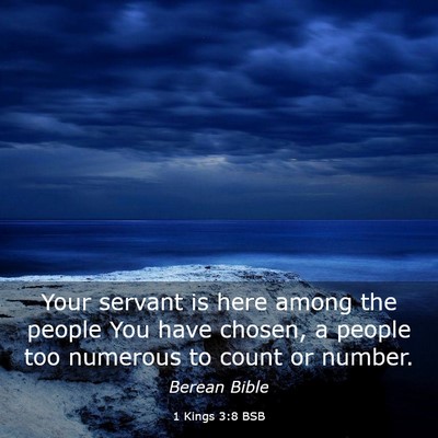 Picture 03 - 1 Kings 3:8 BSB - Your servant is here among the people You have - Bible Verse Picture