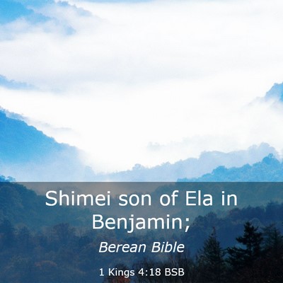 Picture 03 - 1 Kings 4:18 BSB - Shimei son of Ela in - Bible Verse Picture