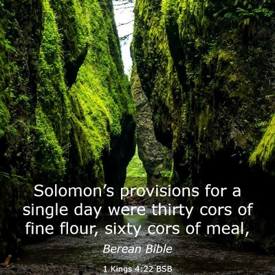Picture 03 - 1 Kings 4:22 BSB - Solomon’s provisions for a single day were - Bible Verse Picture