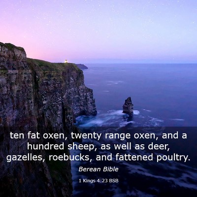 Picture 03 - 1 Kings 4:23 BSB - ten fat oxen, twenty range oxen, and a hundred - Bible Verse Picture