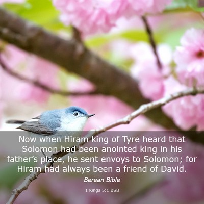 Picture 03 - 1 Kings 5:1 BSB - Now when Hiram king of Tyre heard that Solomon - Bible Verse Picture