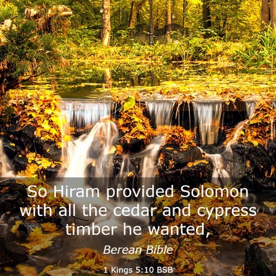 Picture 03 - 1 Kings 5:10 BSB - So Hiram provided Solomon with all the cedar and - Bible Verse Picture