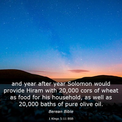 Picture 03 - 1 Kings 5:11 BSB - and year after year Solomon would provide Hiram - Bible Verse Picture