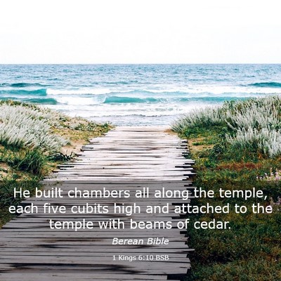 Picture 03 - 1 Kings 6:10 BSB - He built chambers all along the temple, each five - Bible Verse Picture