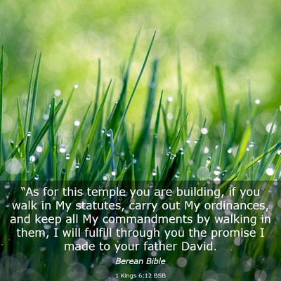 Picture 03 - 1 Kings 6:12 BSB - “As for this temple you are building, if you - Bible Verse Picture
