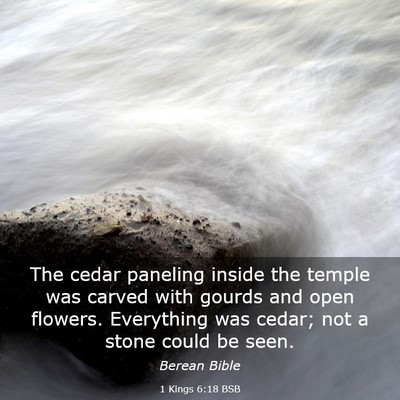 Picture 03 - 1 Kings 6:18 BSB - The cedar paneling inside the temple was carved - Bible Verse Picture