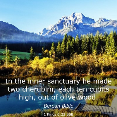Picture 03 - 1 Kings 6:23 BSB - In the inner sanctuary he made two cherubim, each - Bible Verse Picture