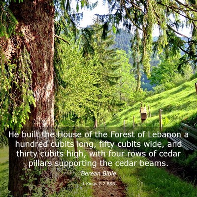 Picture 03 - 1 Kings 7:2 BSB - He built the House of the Forest of Lebanon a - Bible Verse Picture