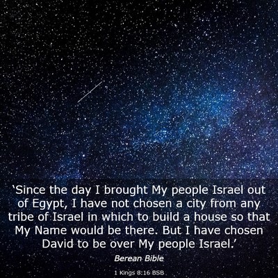 Picture 03 - 1 Kings 8:16 BSB - ‘Since the day I brought My people Israel out - Bible Verse Picture