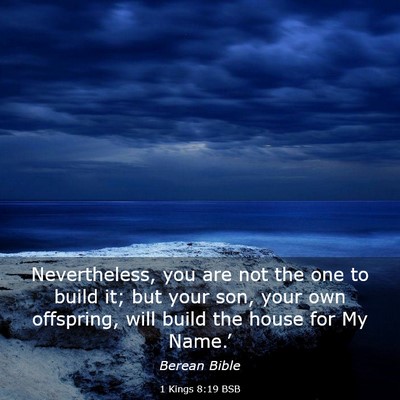 Picture 03 - 1 Kings 8:19 BSB - Nevertheless, you are not the one to build it; - Bible Verse Picture