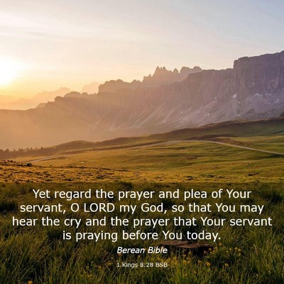 Picture 03 - 1 Kings 8:28 BSB - Yet regard the prayer and plea of Your servant, O - Bible Verse Picture