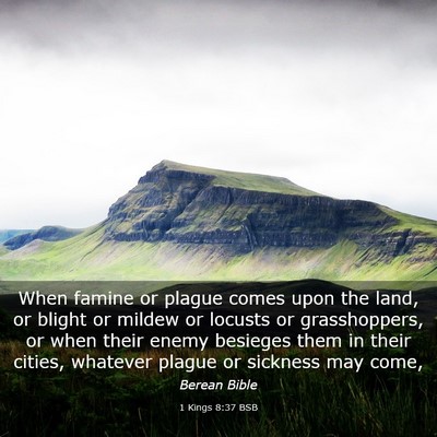 Picture 03 - 1 Kings 8:37 BSB - When famine or plague comes upon the land, or - Bible Verse Picture