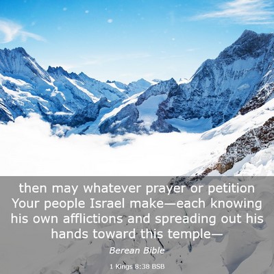 Picture 03 - 1 Kings 8:38 BSB - then may whatever prayer or petition Your people - Bible Verse Picture