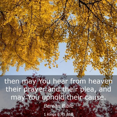 Picture 03 - 1 Kings 8:45 BSB - then may You hear from heaven their prayer and - Bible Verse Picture