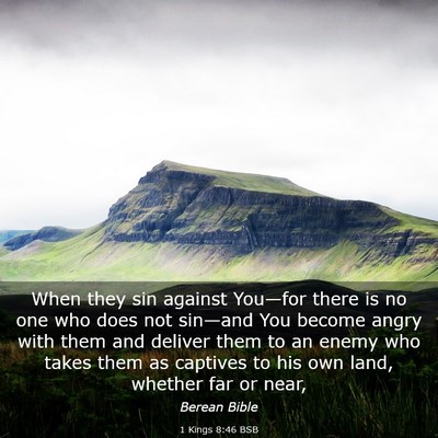 Picture 03 - 1 Kings 8:46 BSB - When they sin against You—for there is no one - Bible Verse Picture