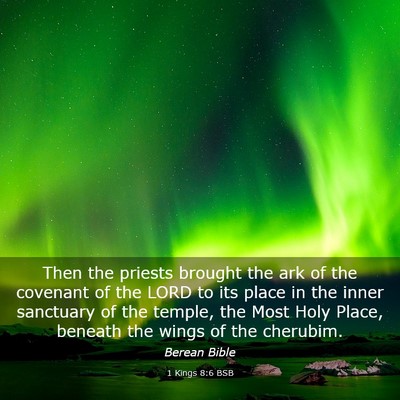 Picture 03 - 1 Kings 8:6 BSB - Then the priests brought the ark of the covenant - Bible Verse Picture