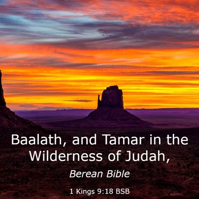 Picture 03 - 1 Kings 9:18 BSB - Baalath, and Tamar in the Wilderness of - Bible Verse Picture