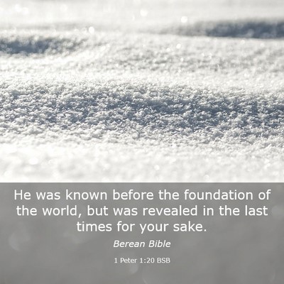 Picture 03 - 1 Peter 1:20 BSB - He was known before the foundation of the world, - Bible Verse Picture