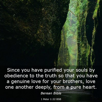 Picture 03 - 1 Peter 1:22 BSB - Since you have purified your souls by obedience - Bible Verse Picture