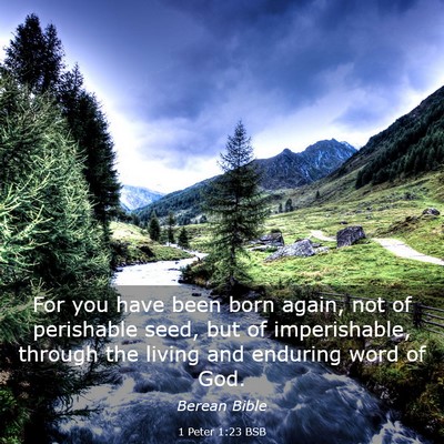 Picture 03 - 1 Peter 1:23 BSB - For you have been born again, not of perishable - Bible Verse Picture