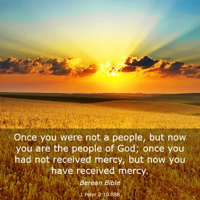 Picture 03 - 1 Peter 2:10 BSB - Once you were not a people, but now you are the - Bible Verse Picture