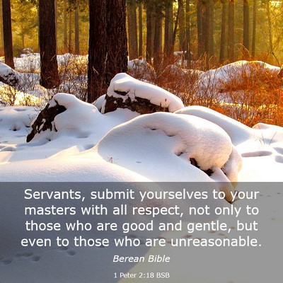 Picture 03 - 1 Peter 2:18 BSB - Servants, submit yourselves to your masters with - Bible Verse Picture