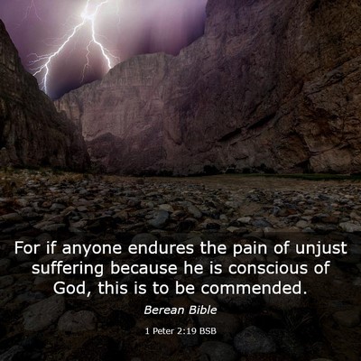 Picture 03 - 1 Peter 2:19 BSB - For if anyone endures the pain of unjust - Bible Verse Picture