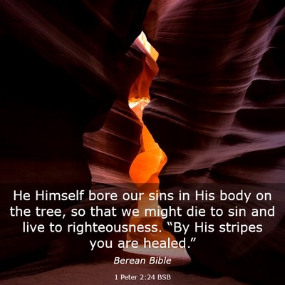 Picture 03 - 1 Peter 2:24 BSB - He Himself bore our sins in His body on the tree, - Bible Verse Picture