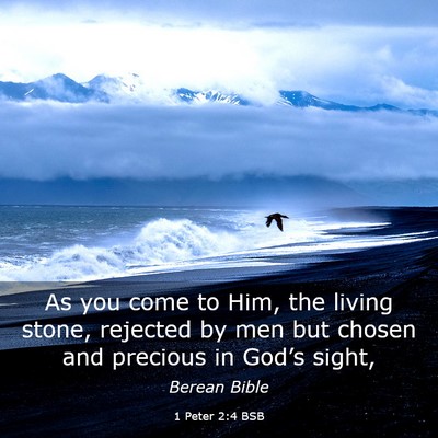 Picture 03 - 1 Peter 2:4 BSB - As you come to Him, the living stone, rejected by - Bible Verse Picture